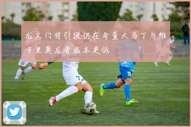 尤文门将引援仍在考量大马丁与维卡里奥后者成本更低